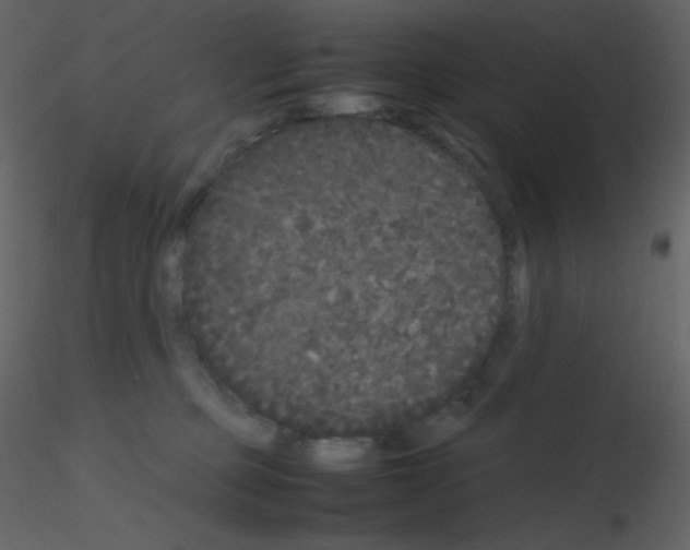 X0000115740373200912241652