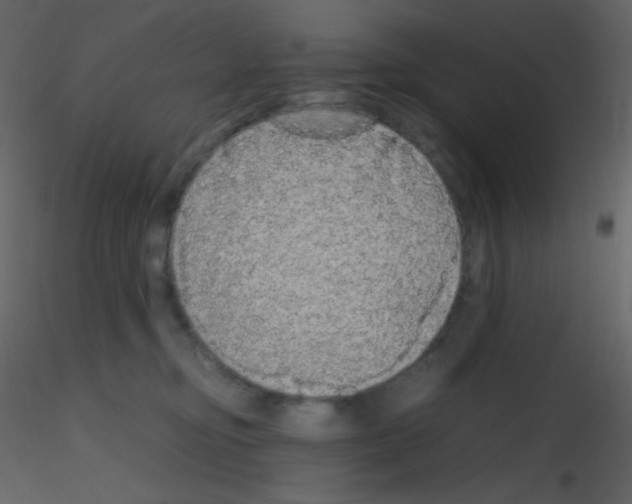 X0000115740374200912241652