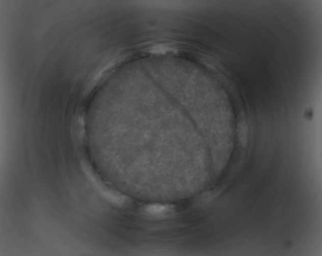 X0000115740375200912241652