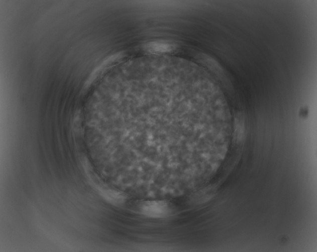 X0000115740377200912241652