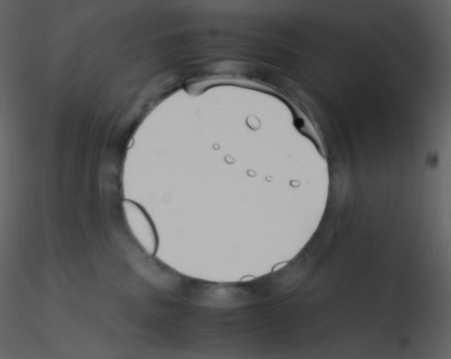 X0000115740379200912241652