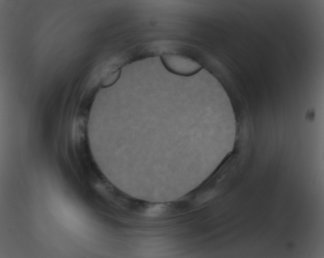 X0000115740382200912241652