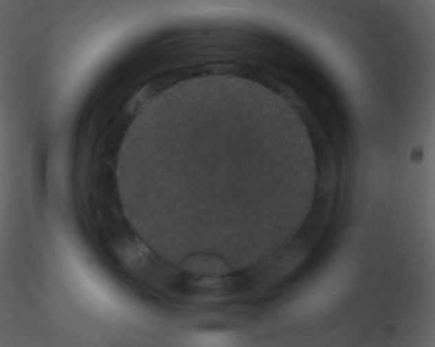 X0000115740383200912241652