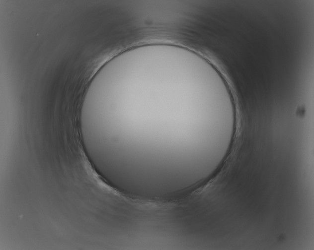 X0000115740385200912241651