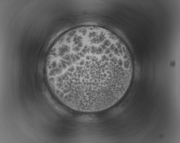 X0000115740386200912241651