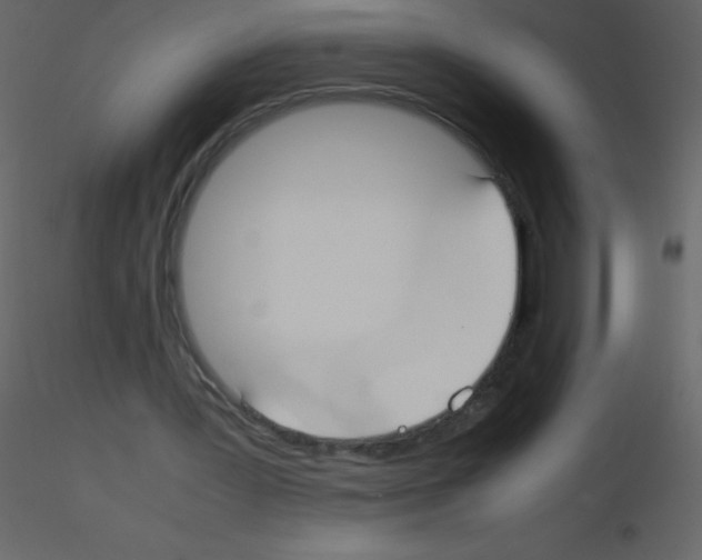 X0000115740387200912241651