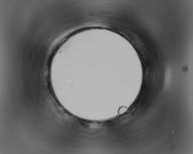 X0000115740388200912241651