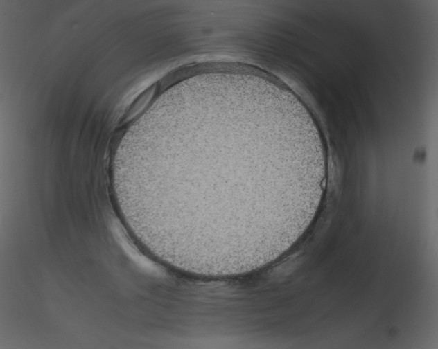 X0000115740389200912241651