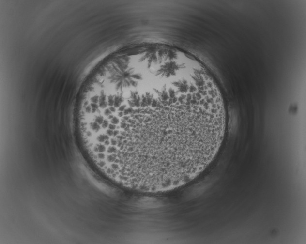 X0000115740390200912241651