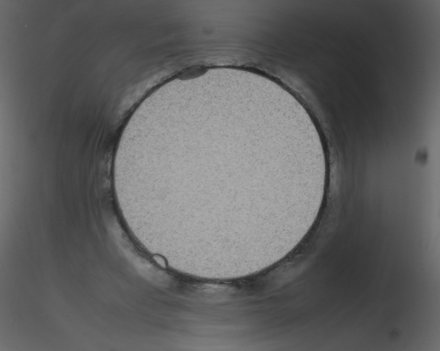 X0000115740393200912241651