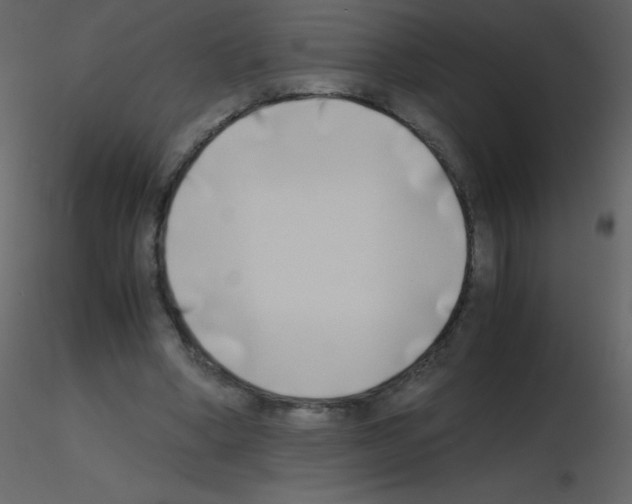 X0000115740394200912241651