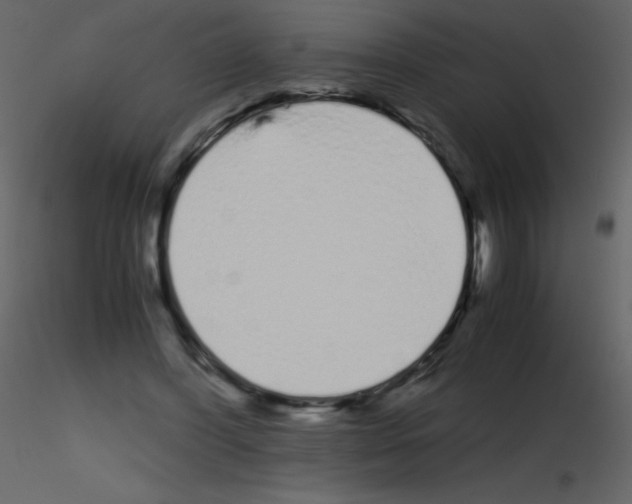 X0000115740396200912241651