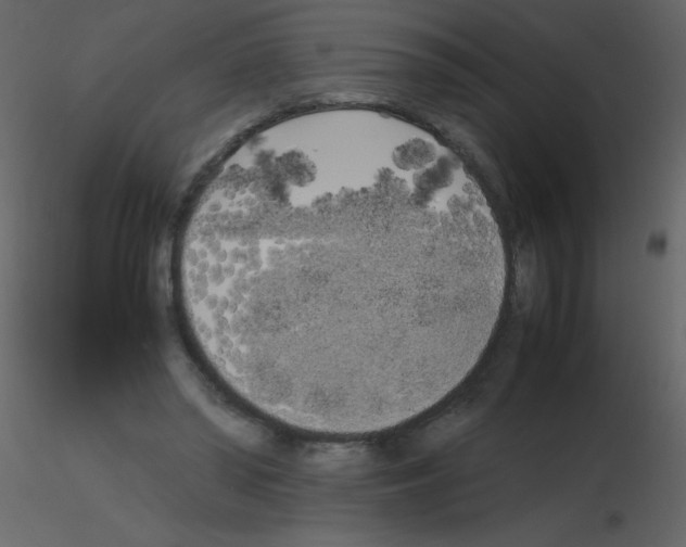 X0000115740398200912241651