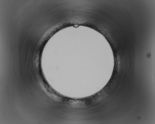 X0000115740400200912241651