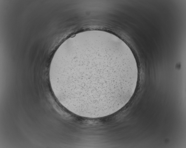 X0000115740401200912241651