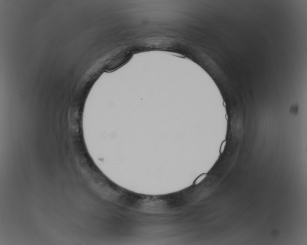 X0000115740403200912241651