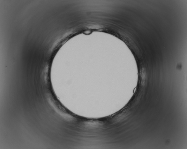 X0000115740404200912241651