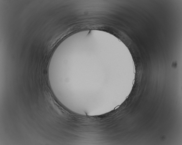 X0000115740405200912241651