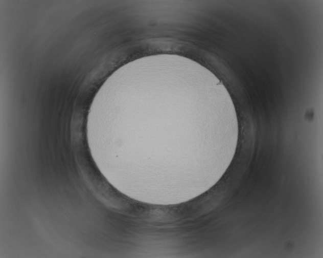 X0000115740406200912241651