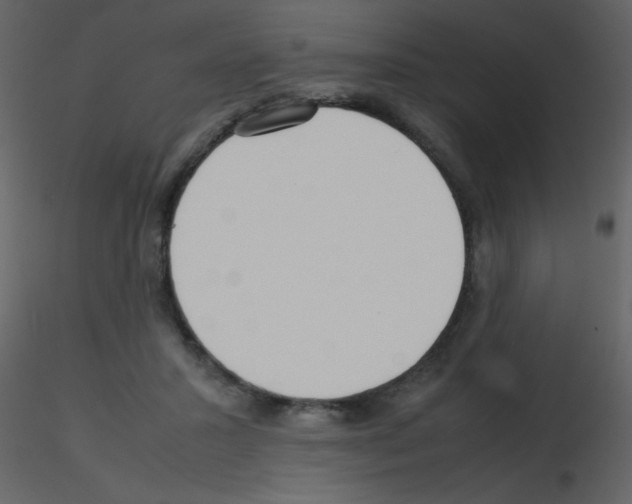 X0000115740407200912241651