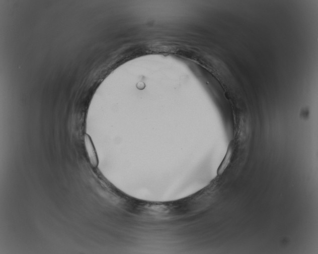 X0000115740409200912241651