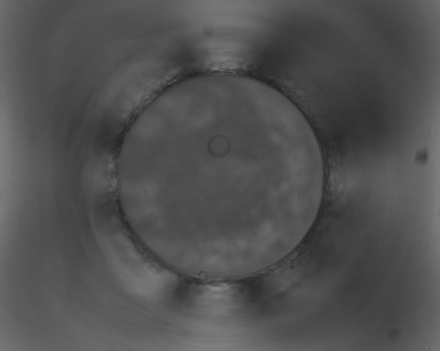 X0000115740411200912241651