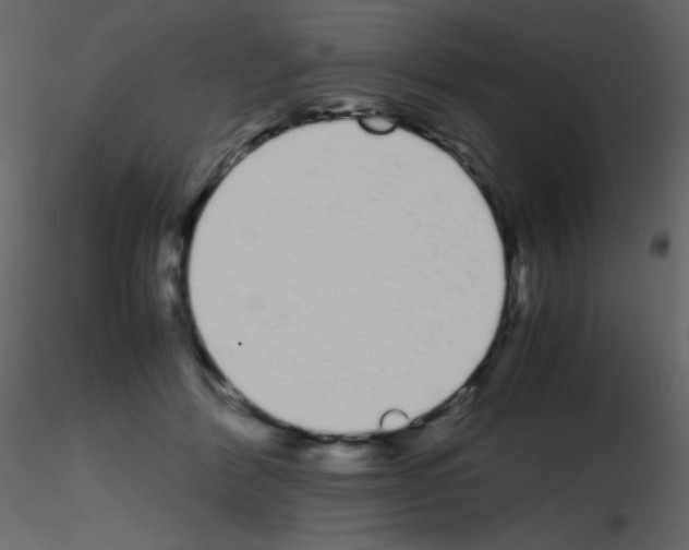 X0000115740412200912241651