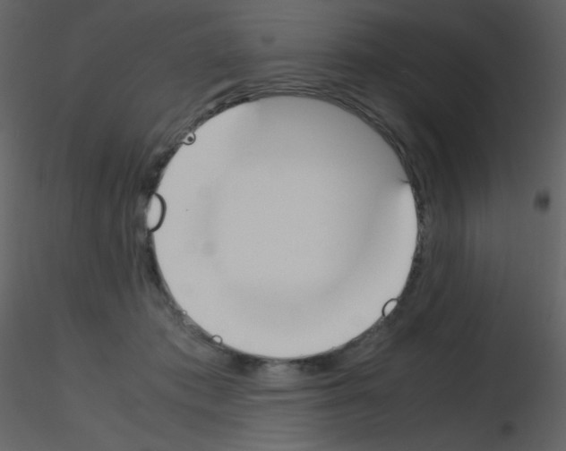 X0000115740413200912241651