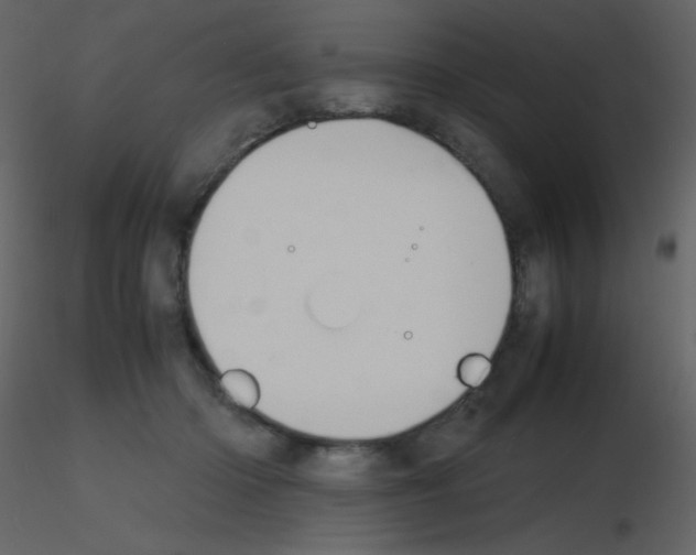 X0000115740414200912241651