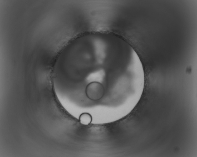 X0000115740415200912241651