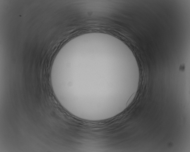 X0000115740417200912241651