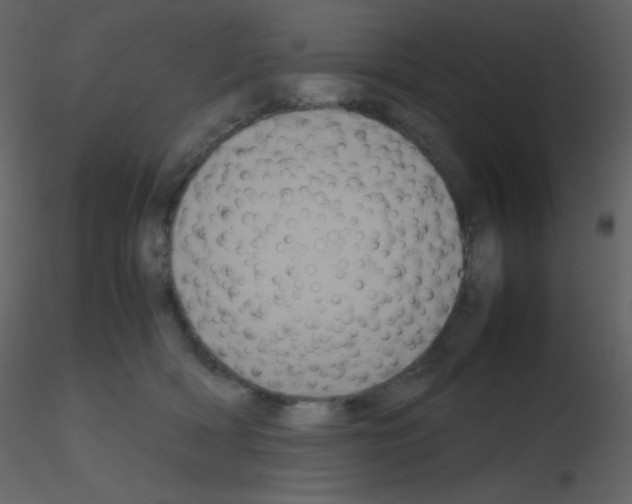 X0000115740418200912241651