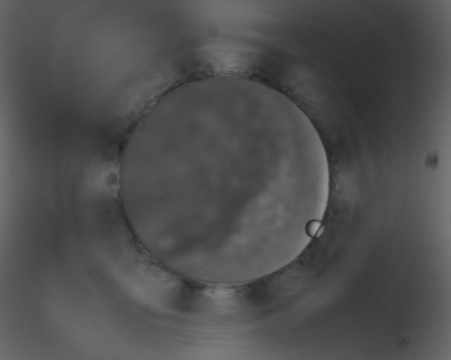 X0000115740419200912241651