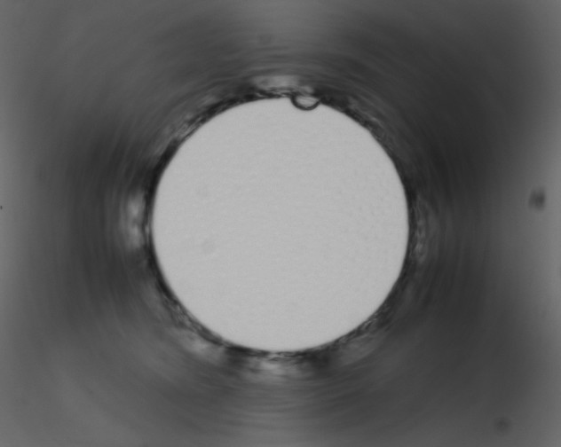 X0000115740420200912241651