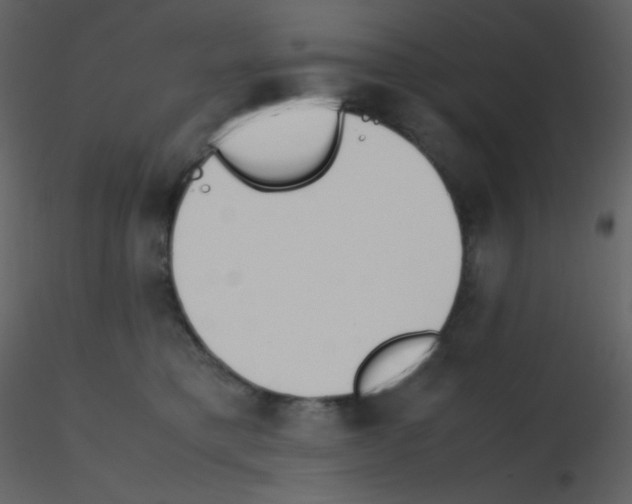 X0000115740421200912241651