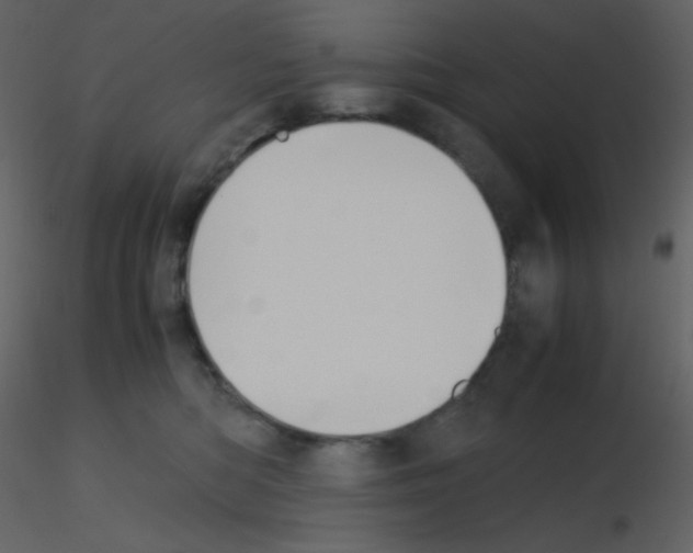 X0000115740422200912241651