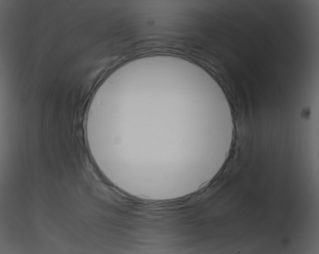 X0000115740423200912241651