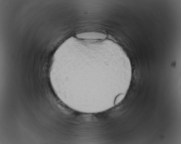 X0000115740424200912241651