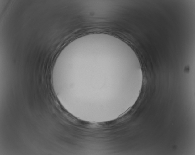 X0000115740425200912241651