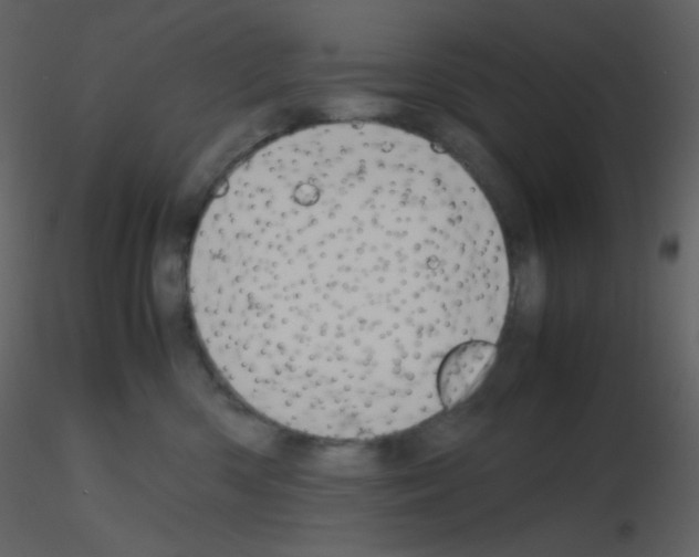 X0000115740426200912241651