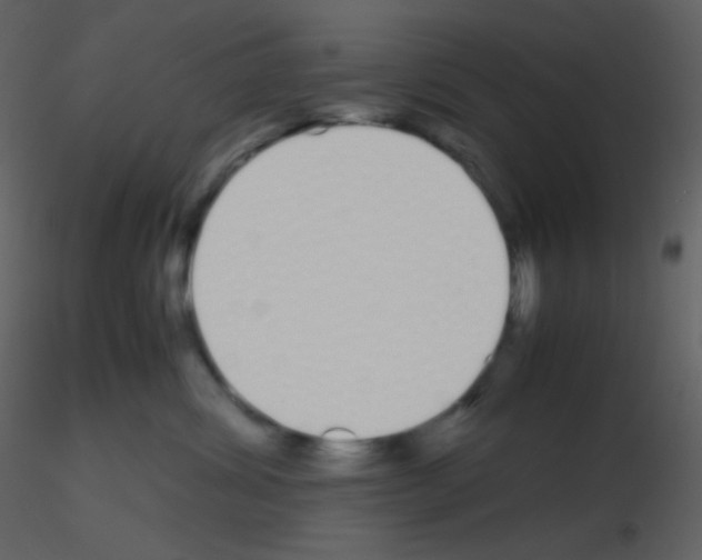 X0000115740428200912241651