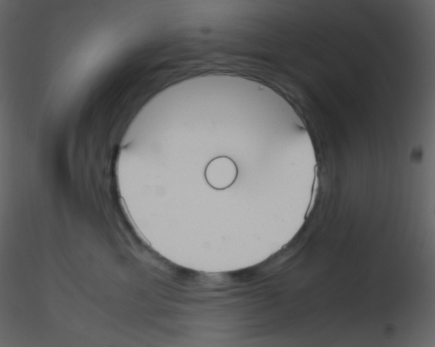 X0000115740429200912241651