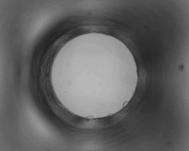 X0000115740430200912241651