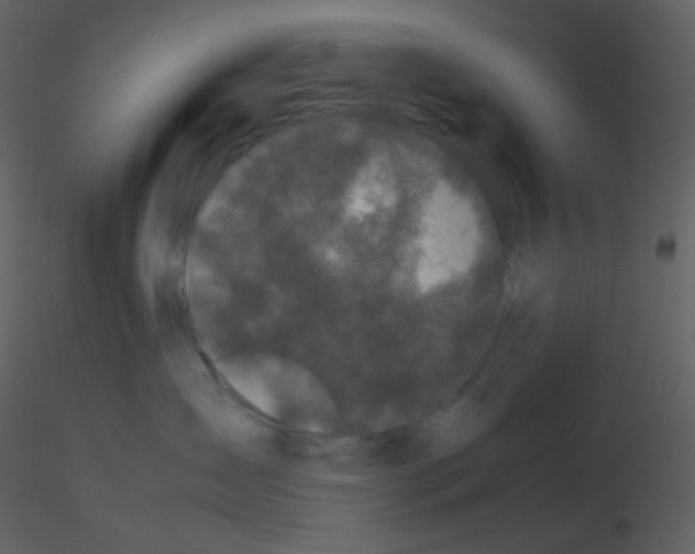 X0000115740431200912241651