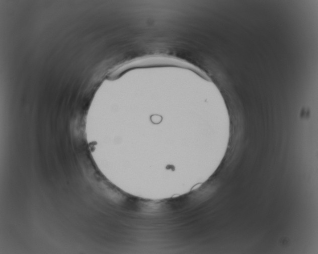 X0000115740432200912241651