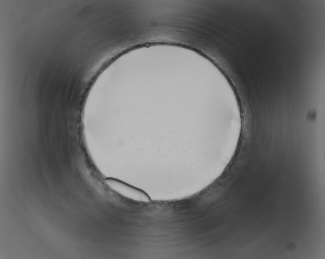 X0000115740434200912241650