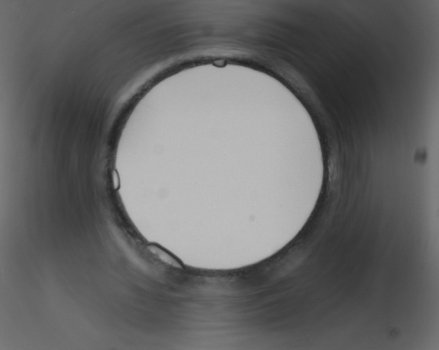 X0000115740436200912241650