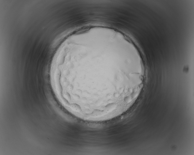 X0000115740437200912241650