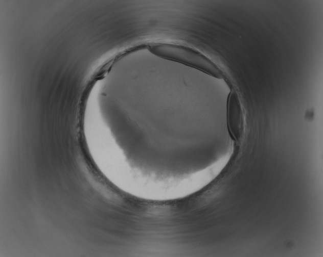 X0000115740438200912241650