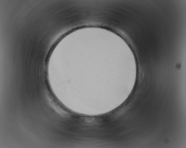 X0000115740439200912241650